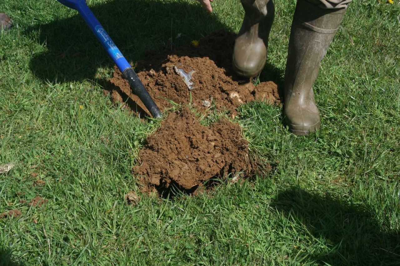 Soil analysis report 2019-20 - British Grassland Society